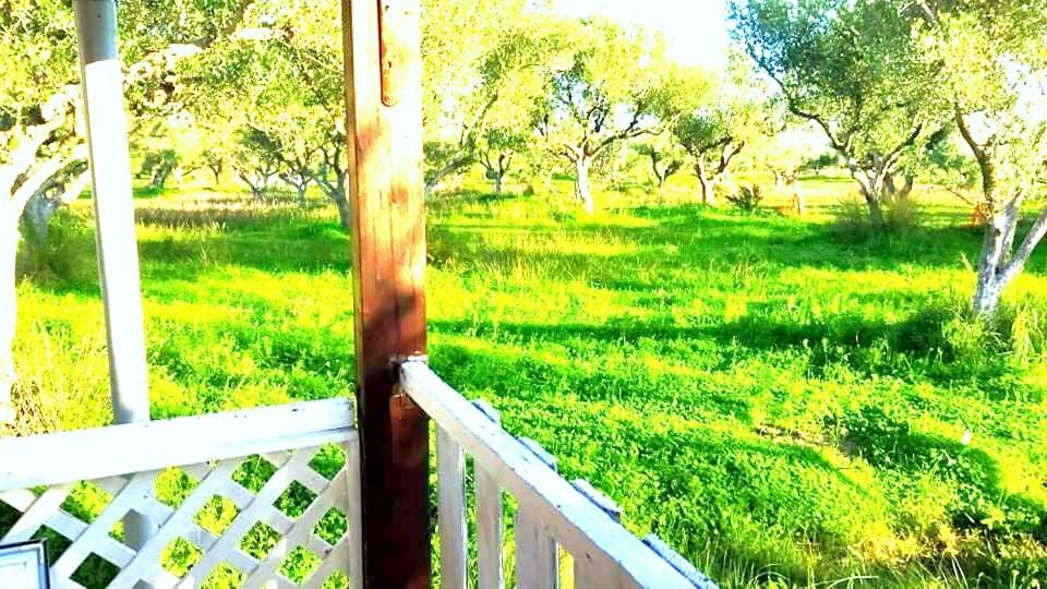 Casa Katina , villa in Lagana, Agrilia area Laganas Esterno foto